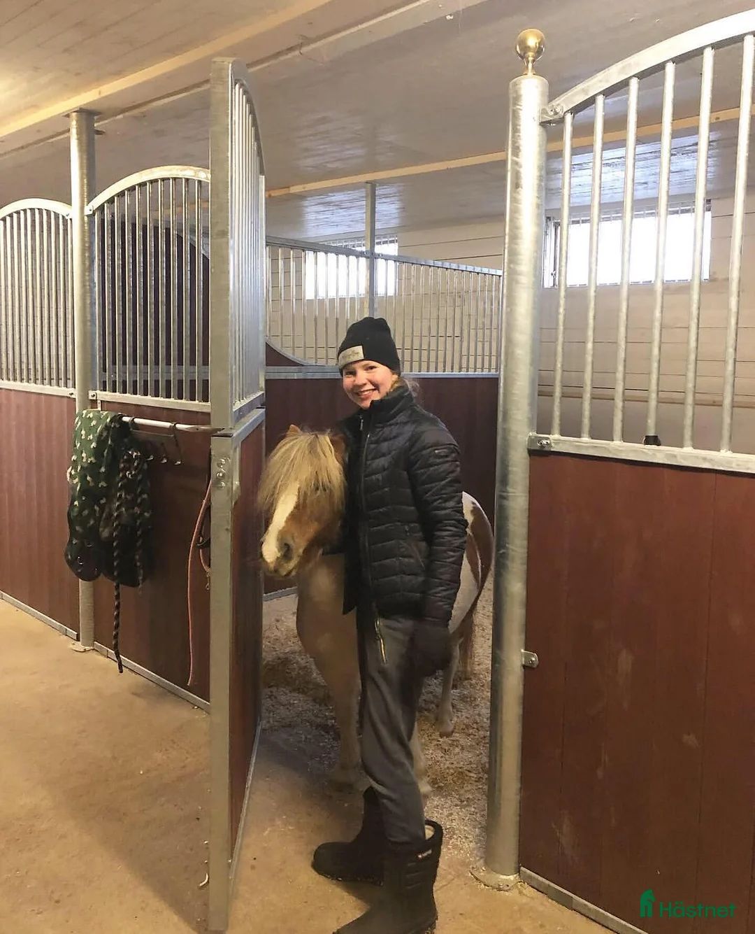 Sällskap hästar till salu: Fantastisk shettis till salu  - Annons 3