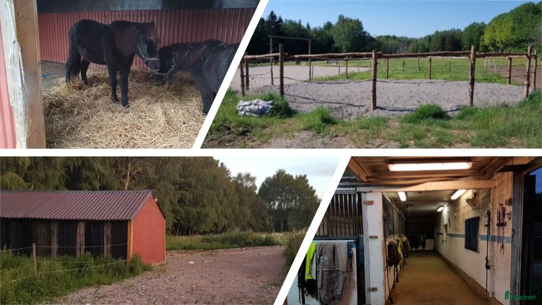  stallplats finnes: Lösdrift för ponny i Västerhaninge i Västerhaninge - Annons 2