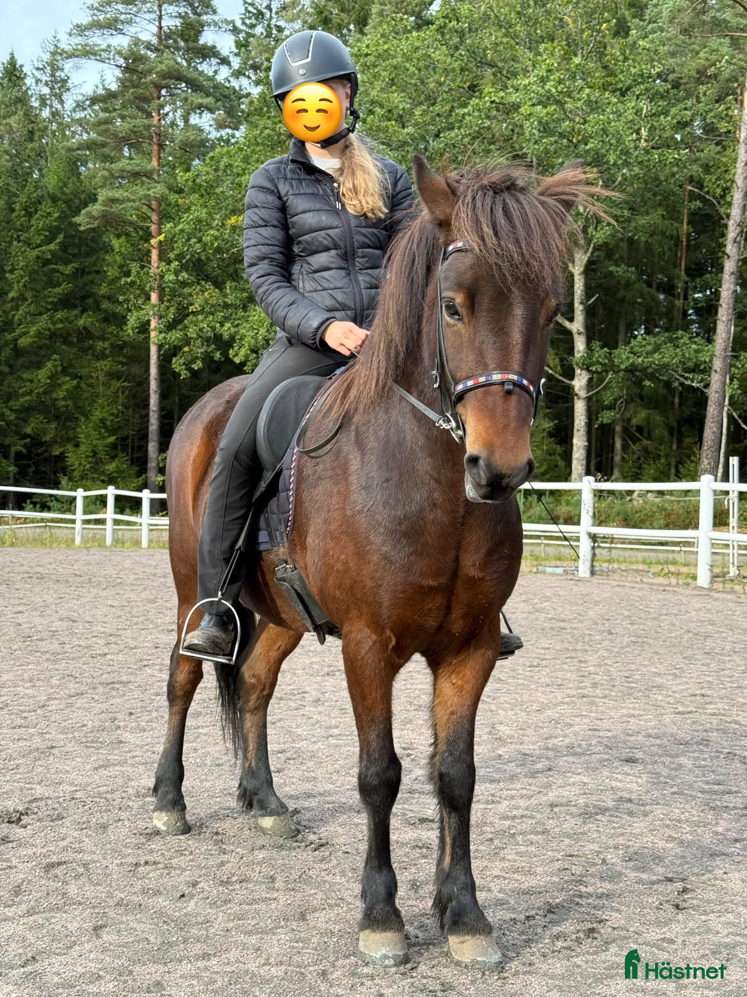  hästar Underbar arbetsvillig islandshäst söker aktivt hem - Annons 1