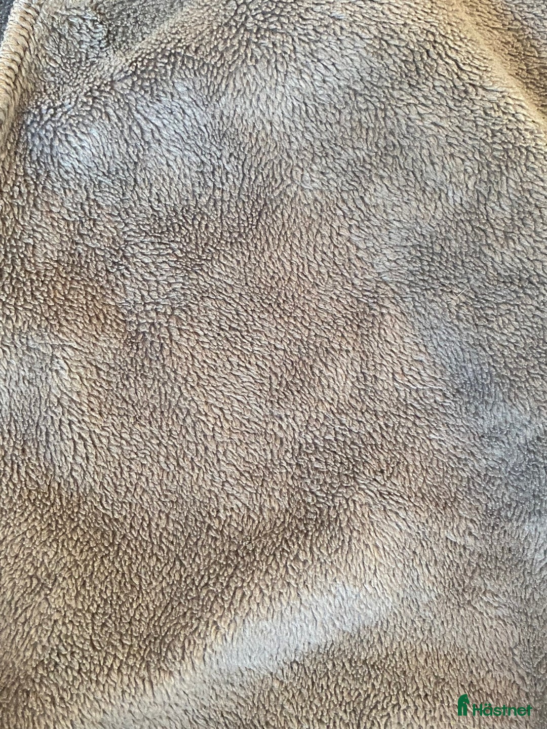 Övrigt Ridkläder ryttarutrustning till salu: Maya delorez hoddie i Lyckeby - Annons 5