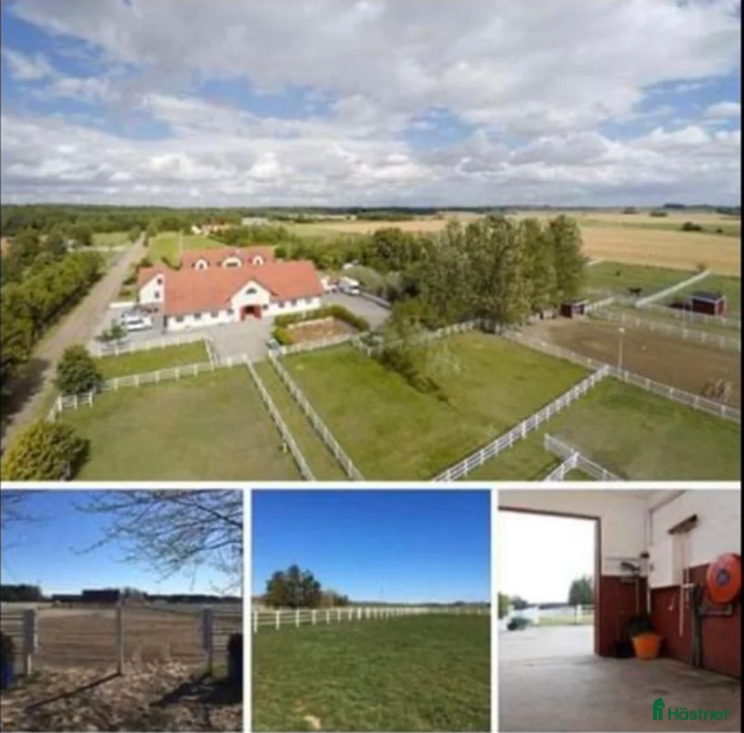  stallplats finnes: Hofterup nära Dösjebro/Ålstorp/Saxtorp/Löddeköping - Annons 2