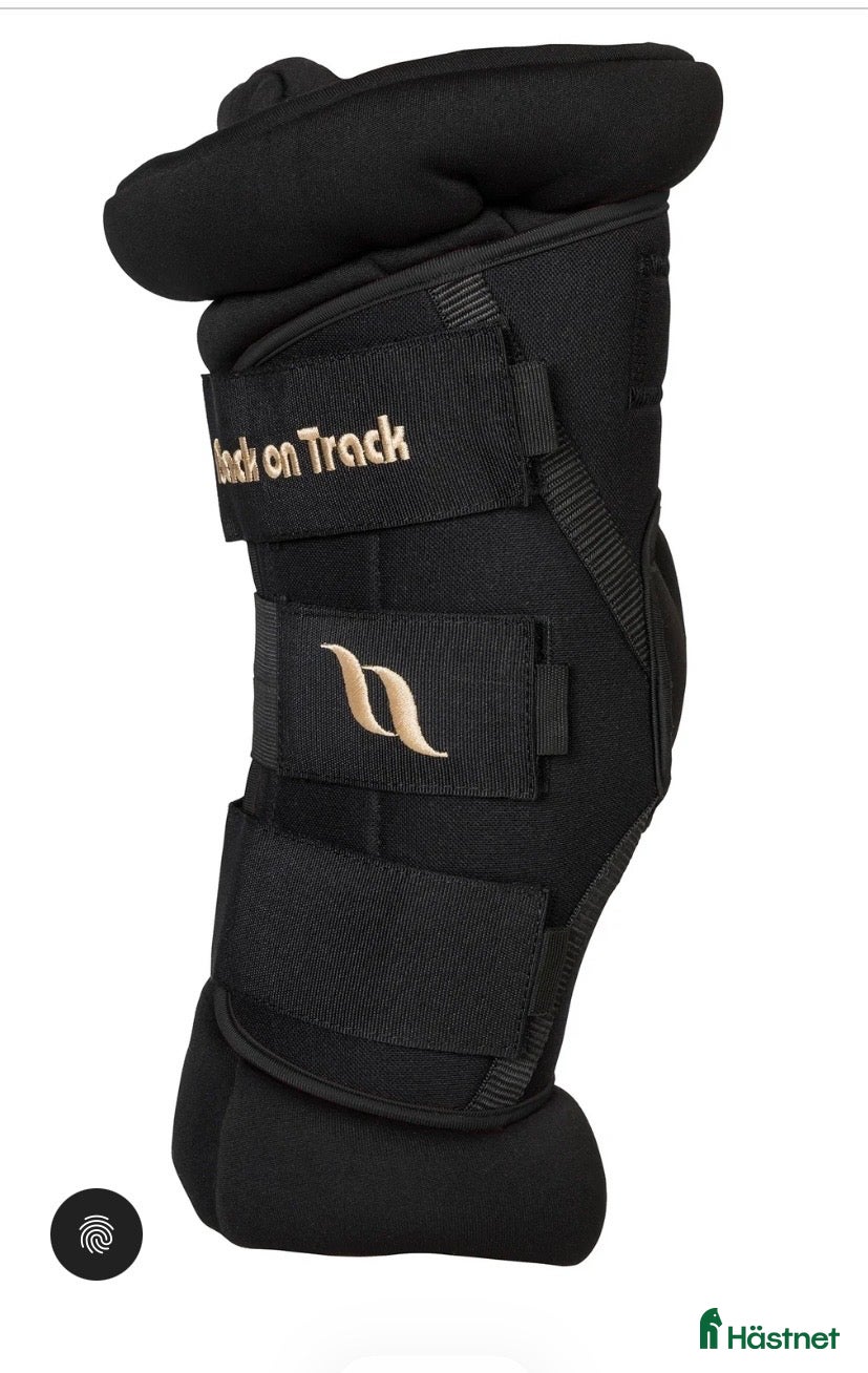 Benskydd hästutrustning Back on track hasskydd - Annons 4