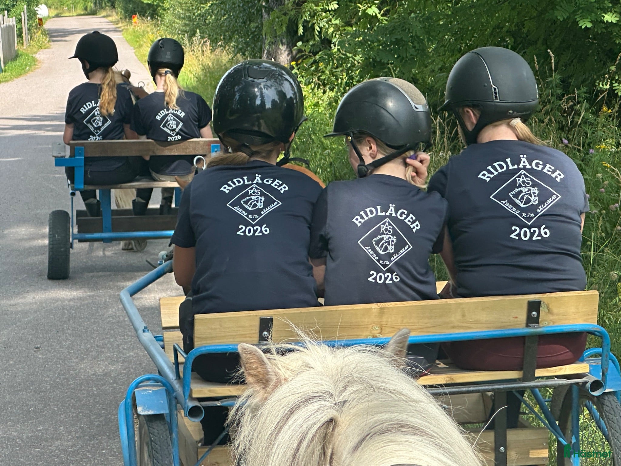  hästar Dponny sökes - Annons 2