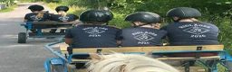 Allround hästar sökes: Dponny sökes - Annons 2