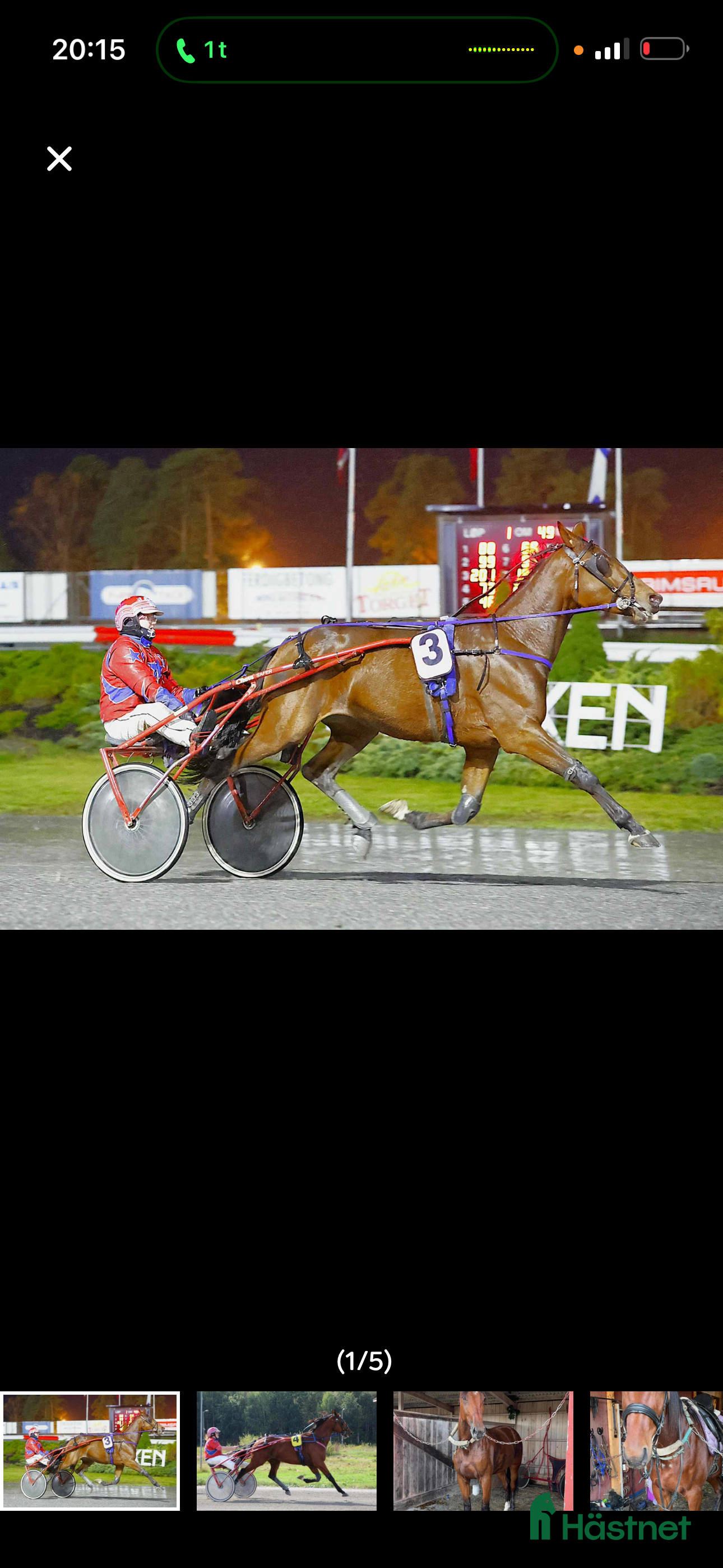  hästar Super flott traver i Rakkestad - Annons 1