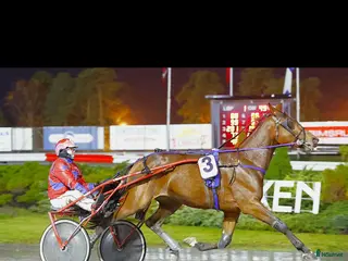 hästar Super flott traver i Rakkestad - Annons 1