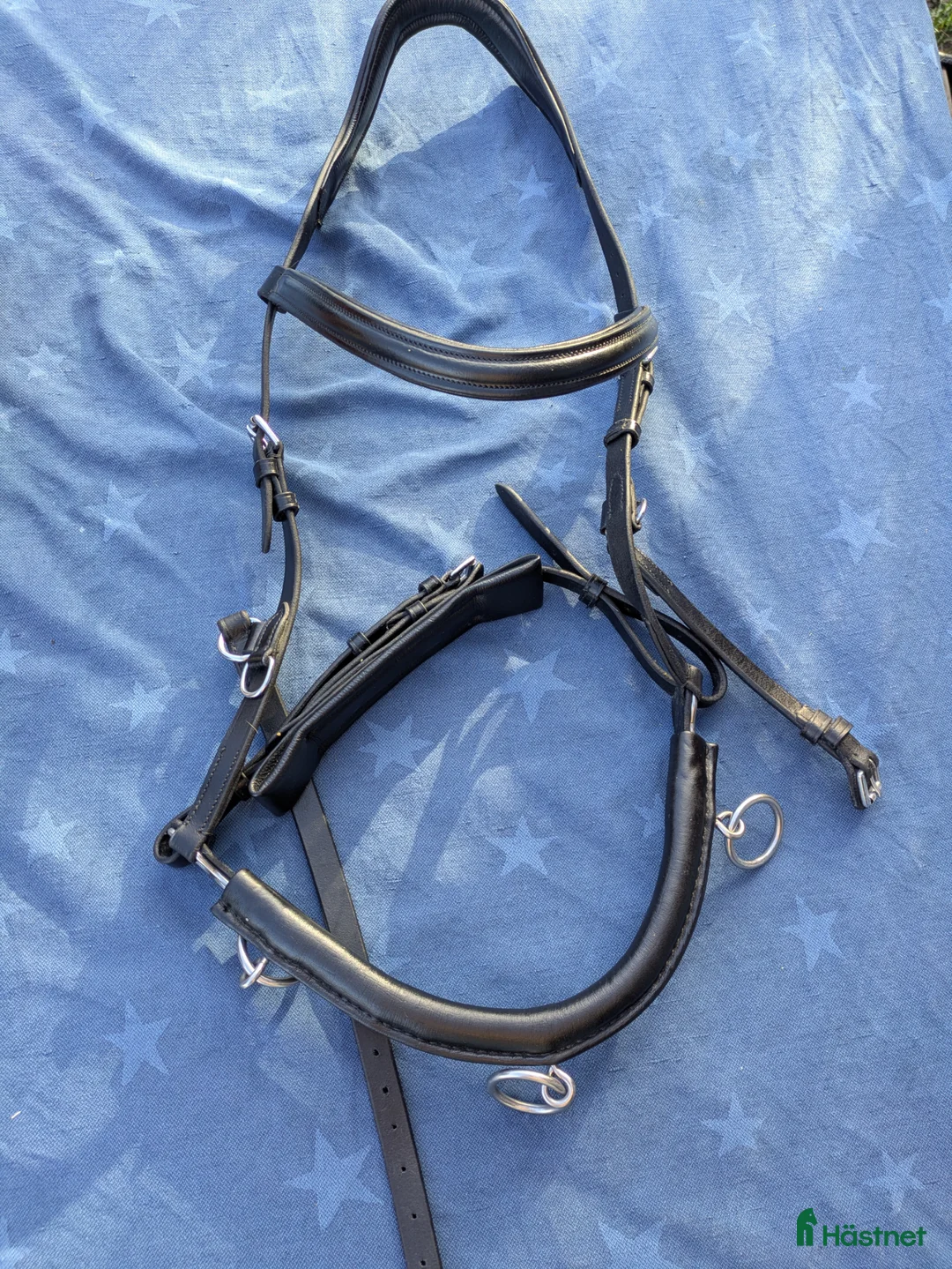 Träns hästutrustning till salu: Kapson QHP - Annons 1