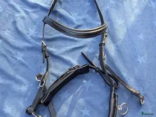 Träns hästutrustning till salu: Kapson QHP - Annons 2