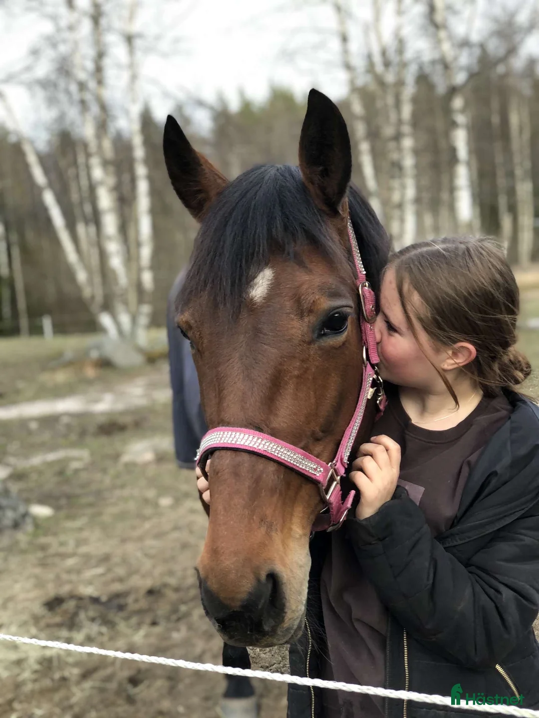 Övrigt hästar till salu: SMÅTT AKUT🌟Inriden travare🌟 - Annons 14