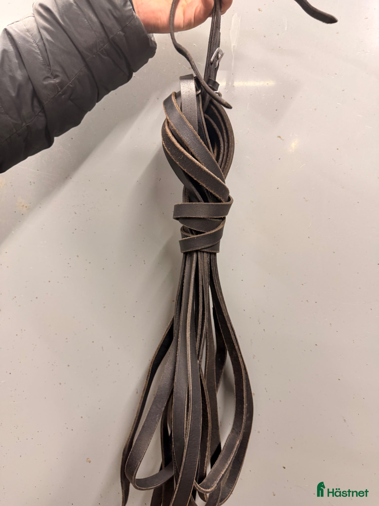 Övrig Hästutrustning hästutrustning Globus läder tömmar 12M - Annons 1