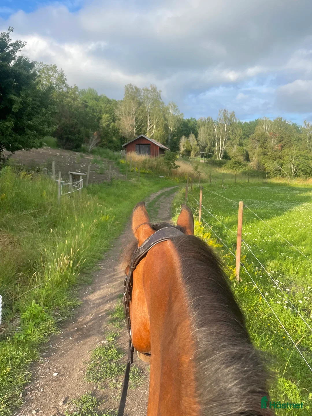 Galleribild {{count}}