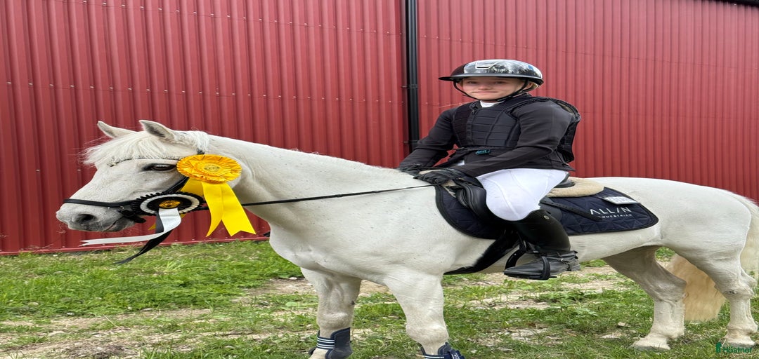 Galleribild {{count}}