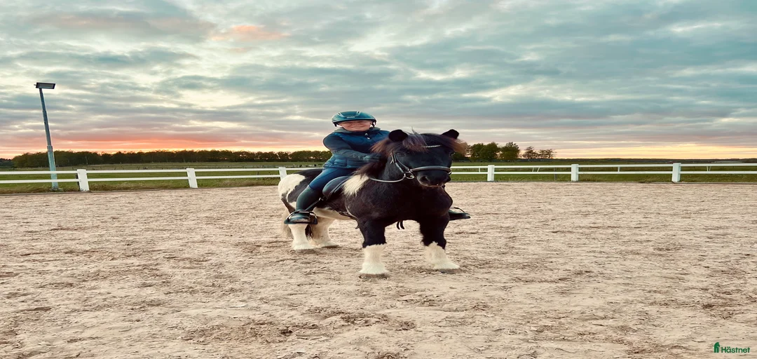 Galleribild {{count}}