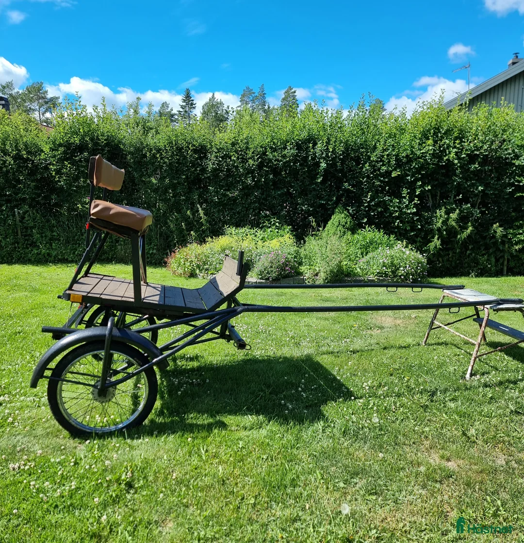Körvagnar körning till salu: Fin rockard - Annons 2