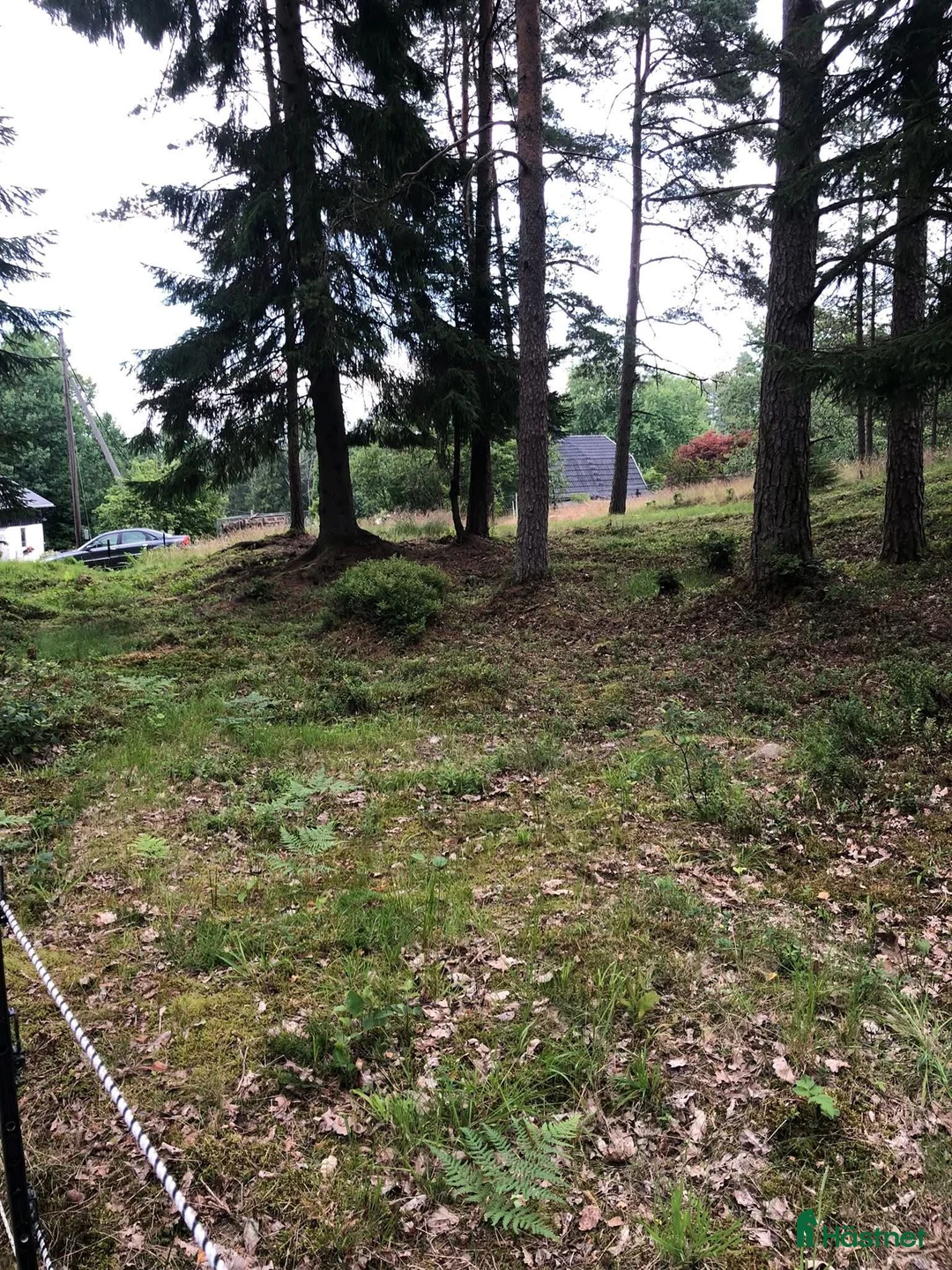  stallplats finnes: Ledig Stallplats i Mölnlycke  - Annons 9