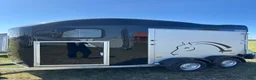 Hästtransporter  fordon & transport till salu: Cheval Gold Origins - Annons 1