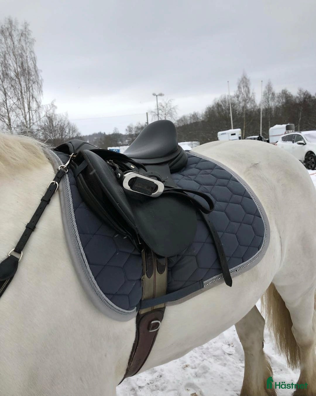 Schabrak & Vojlockar hästutrustning till salu: Grått hoppchabrak med stenar i Sundsvall - Annons 1
