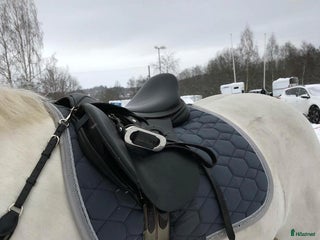 Schabrak & Vojlockar hästutrustning till salu: Grått hoppchabrak med stenar i Sundsvall - Annons 6