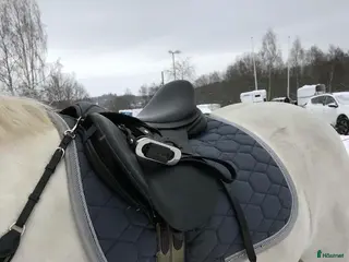 Schabrak & Vojlockar hästutrustning Grått hoppchabrak med stenar i Sundsvall - Annons 19