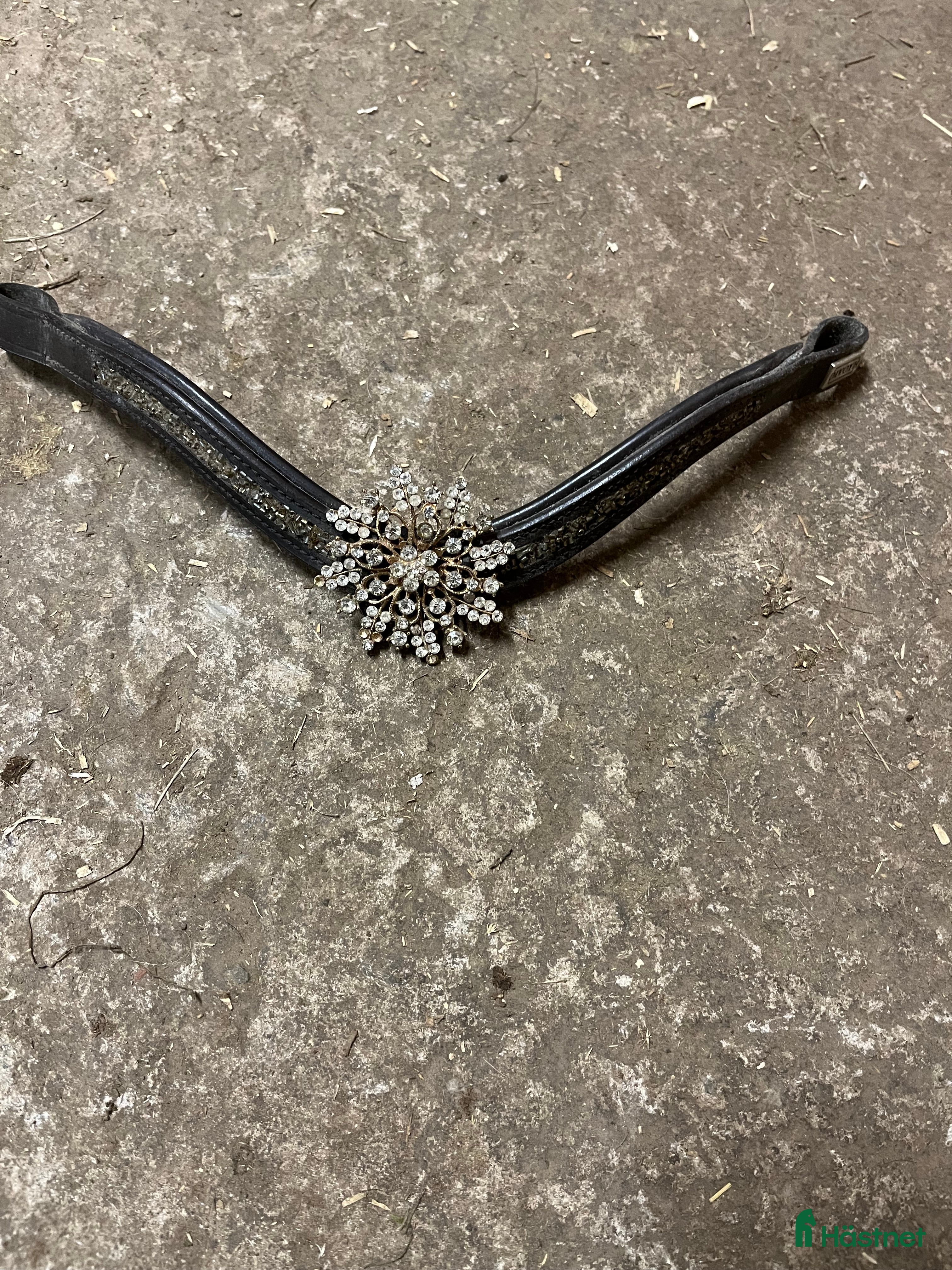 Träns hästutrustning till salu: Divoyh pannband brunt i Landsbro - Annons 16