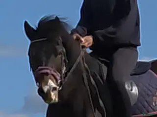 hästar Supersnäll barnponny i Vintrosa - Annons 3