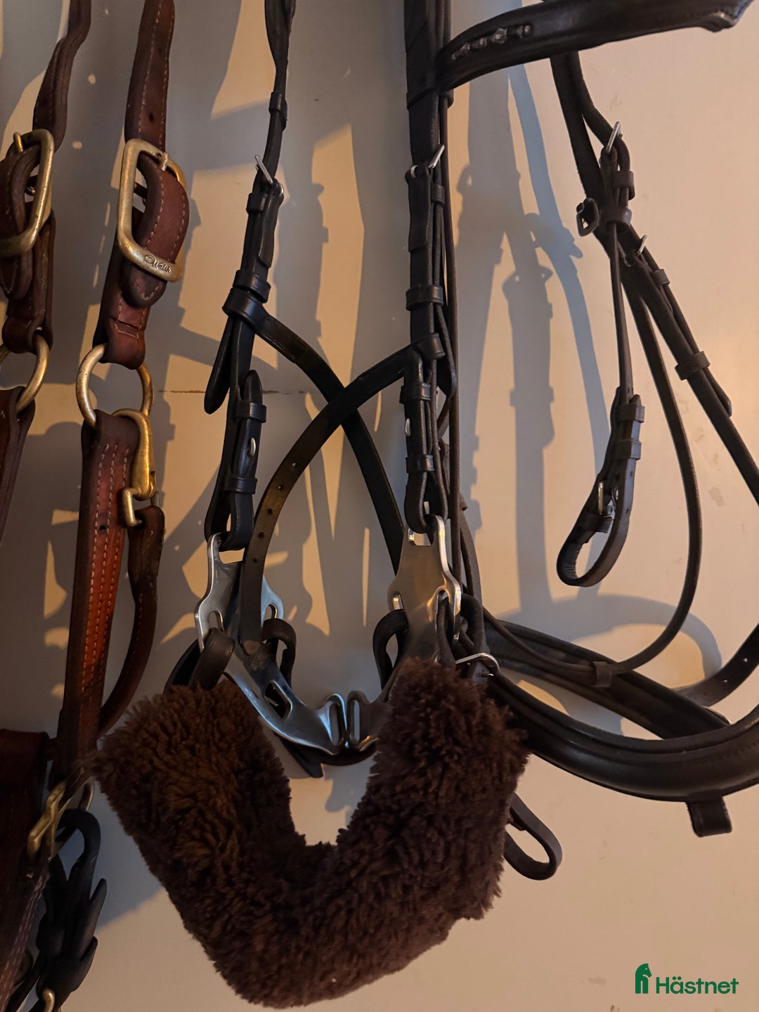 Träns hästutrustning till salu: Psof hackamore  i Grödinge - Annons 5