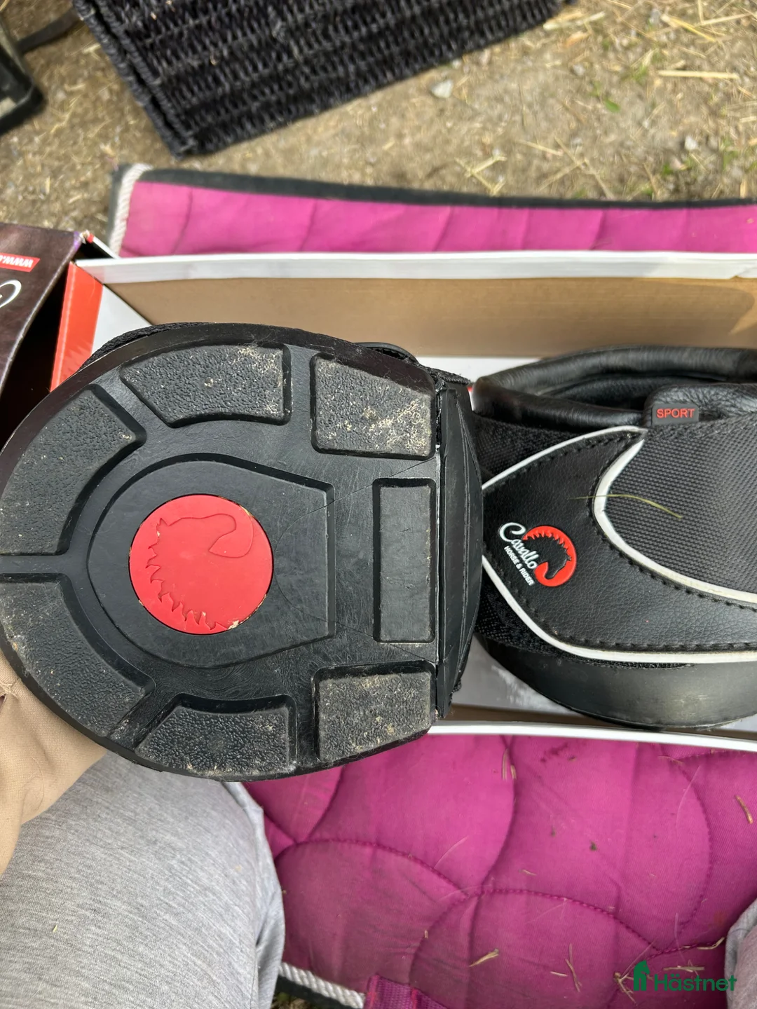 Övrig Hästutrustning hästutrustning till salu: Cavallo sport boot reg storlek 5 - Annons 3