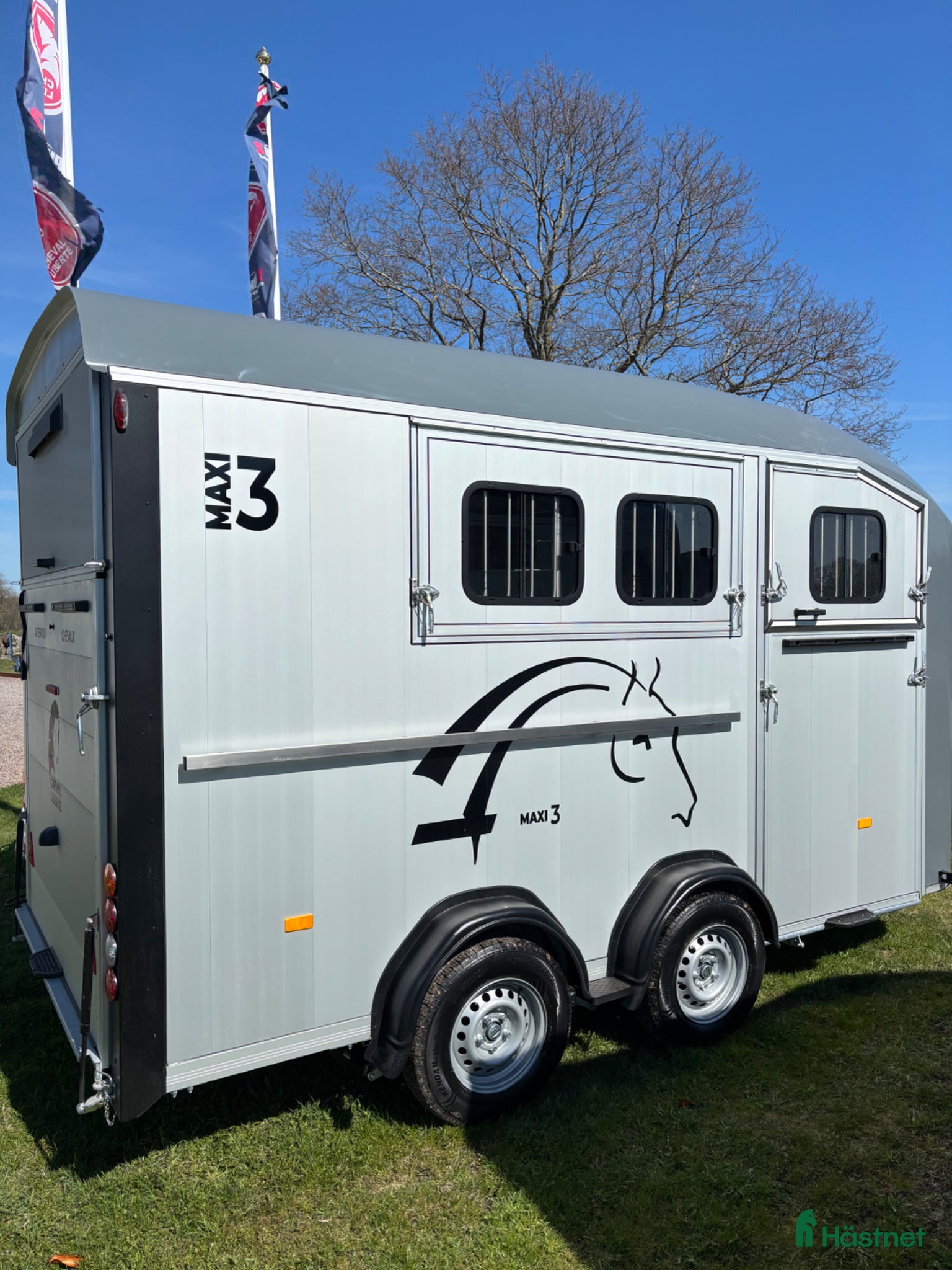 Hästtransporter  fordon & transport till salu: Cheval Maxi 3 - Annons 4