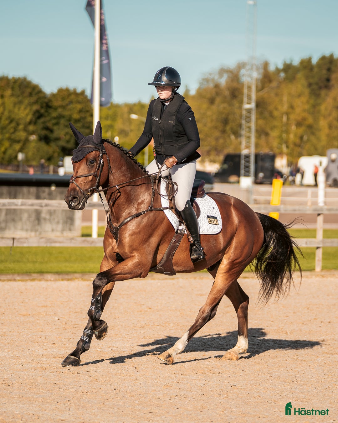 Hoppning hästar till salu: Härligt ridbar 4-åring. i Vikingstad - Annons 2