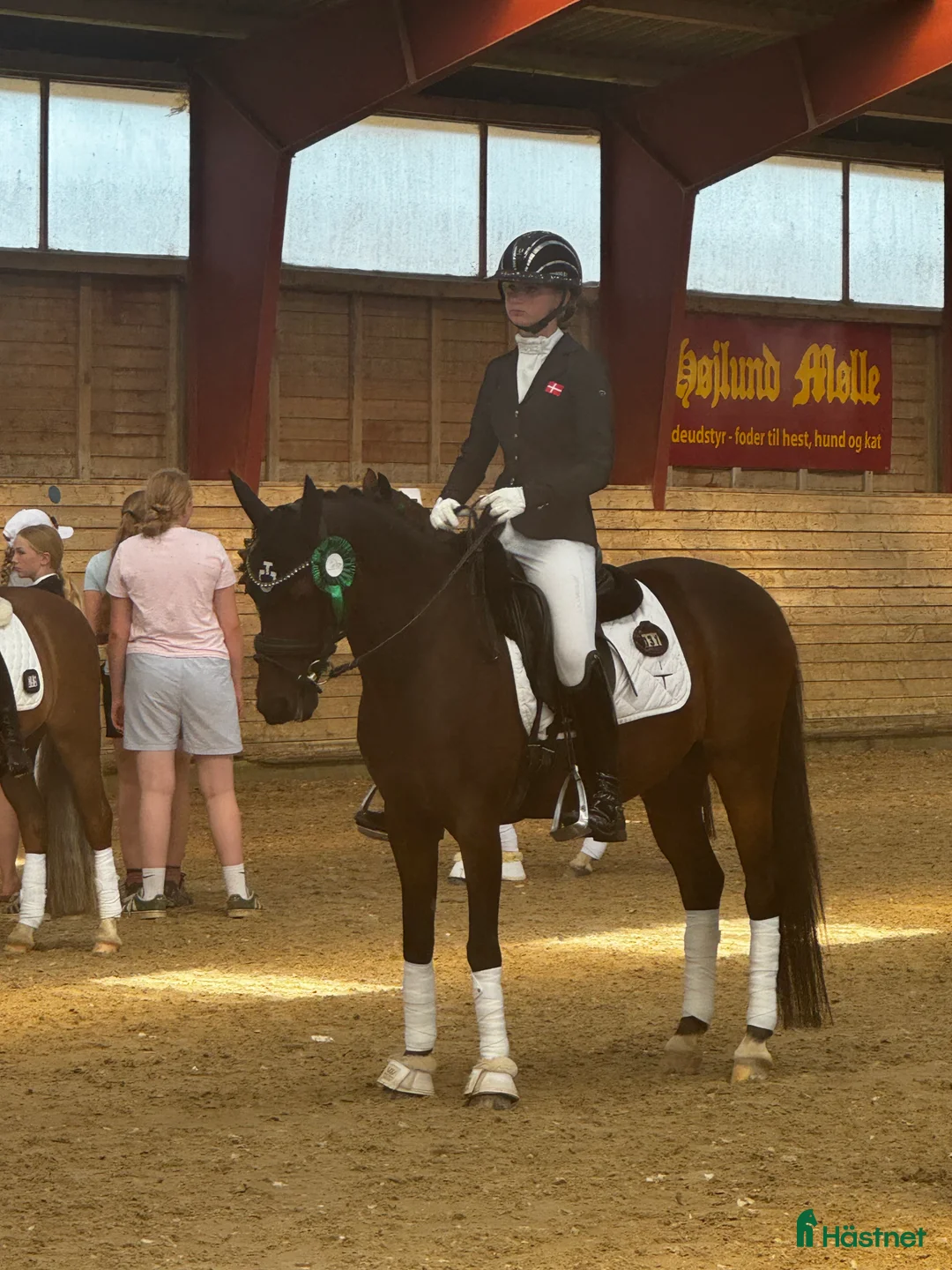 Dressyr hästar till salu: Rutinerad mästerskapsponny, fantastisk läromästare - Annons 3