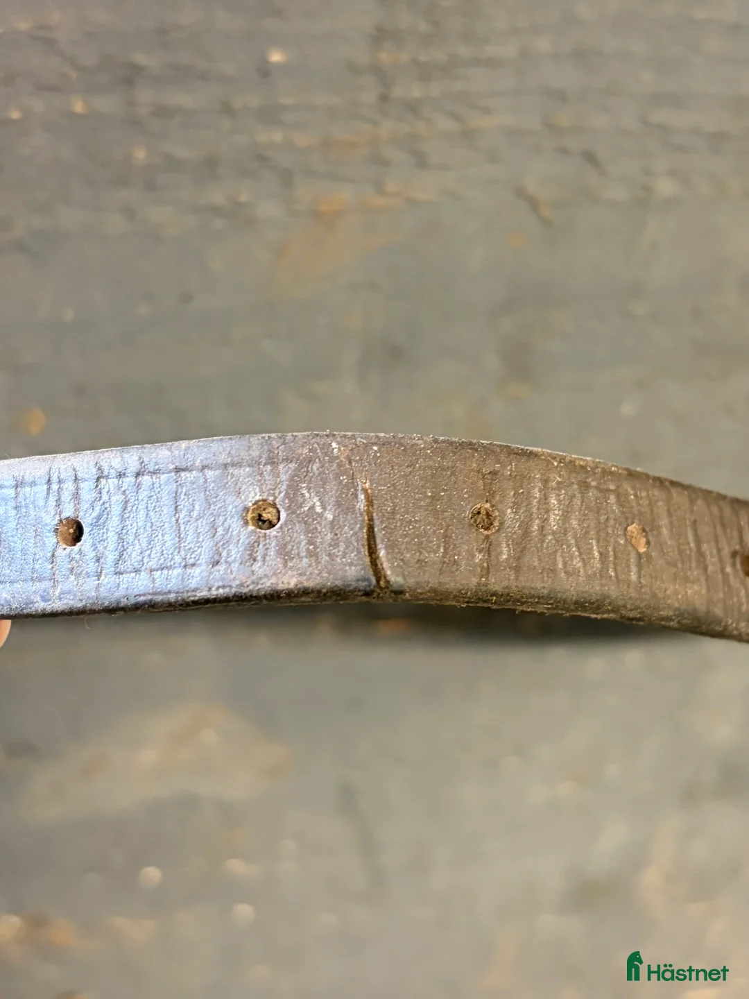 Träns hästutrustning till salu: Micklem träns till salu i Perstorp - Annons 7