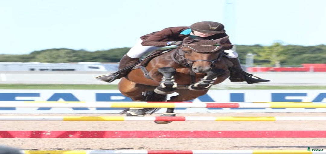 Galleribild {{count}}