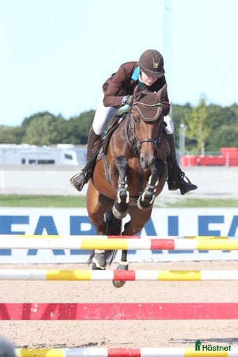 Galleribild {{count}}