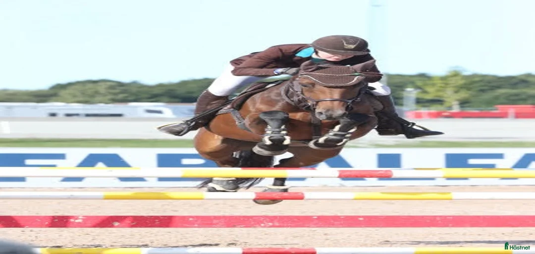 Galleribild {{count}}