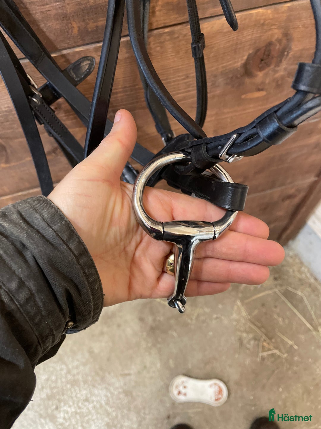 Träns hästutrustning till salu: Komplett träns (helt nytt!) i Offerdal - Annons 4