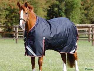 Täcken hästutrustning till salu: Nytt Vintertäcke Premier Equine Titan 450g i Älvsjö - Annons 2