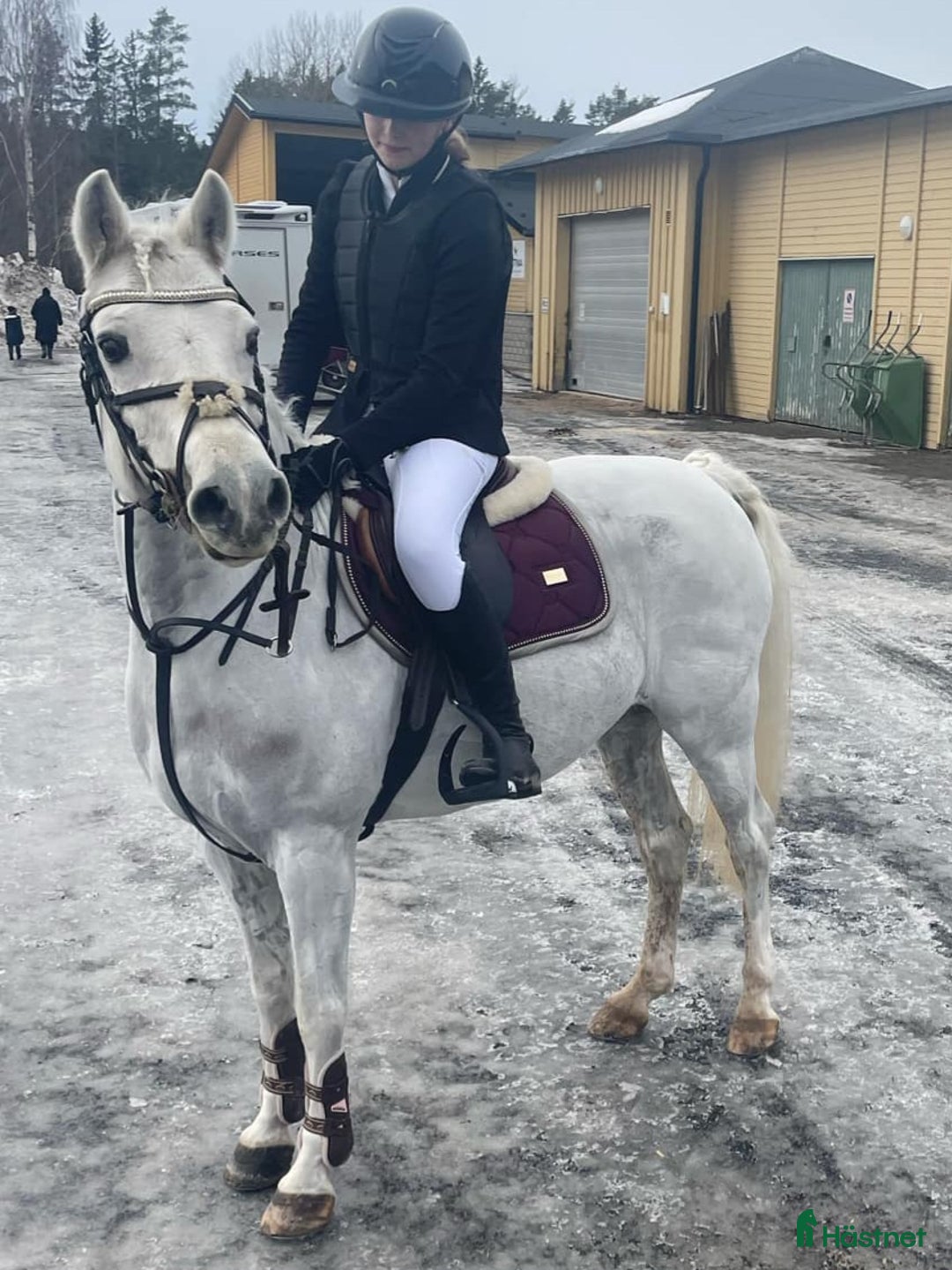 Allround hästar till salu: Bästa allround ponnyn i Öjebyn - Annons 6