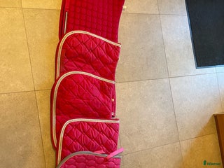 Schabrak & Vojlockar hästutrustning till salu: 4 rosa schabrak i fint skick - strlk Full/Cob i Täby - Annons 9