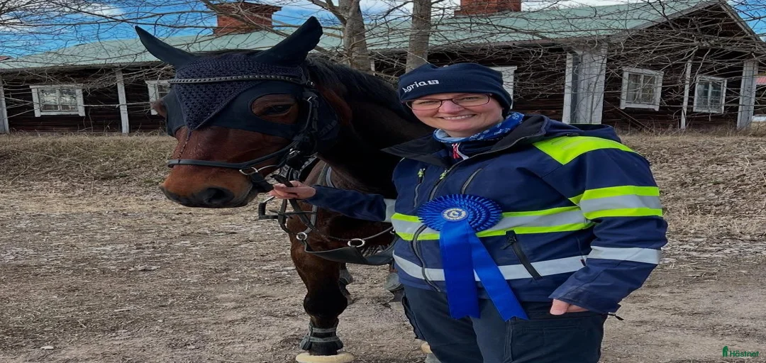 Galleribild {{count}}