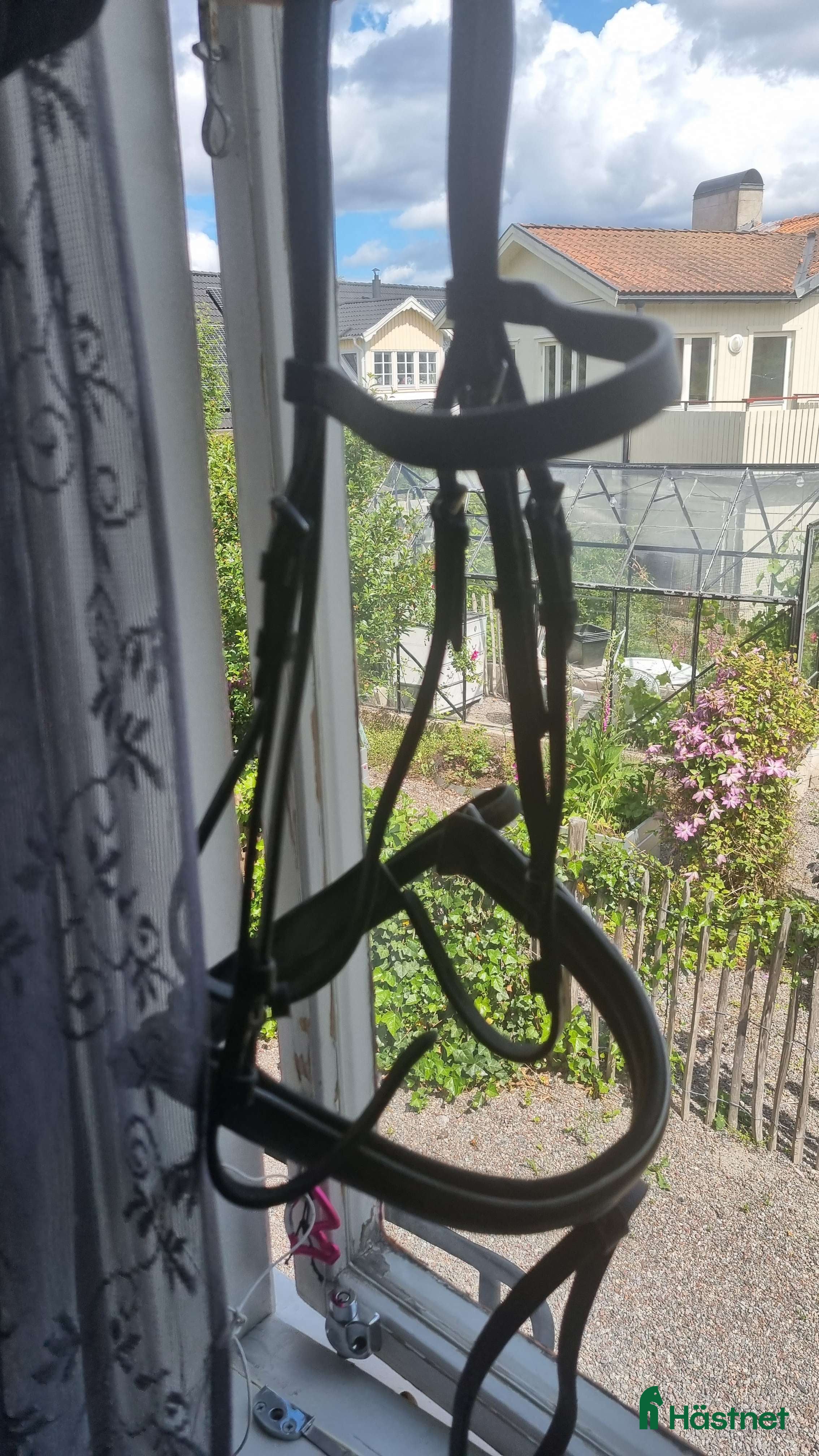 Träns hästutrustning till salu: Aachenträns med reflex på nosgrimman i Huddinge - Annons 1