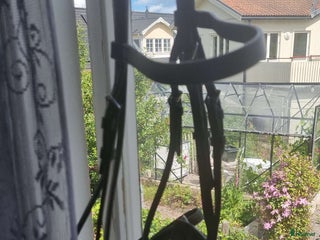 Träns hästutrustning till salu: Aachenträns med reflex på nosgrimman i Huddinge - Annons 1
