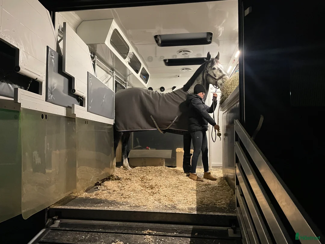 Hästlastbilar  fordon & transport till salu: Smidig hästlastbil 3-4 hästar - Annons 9