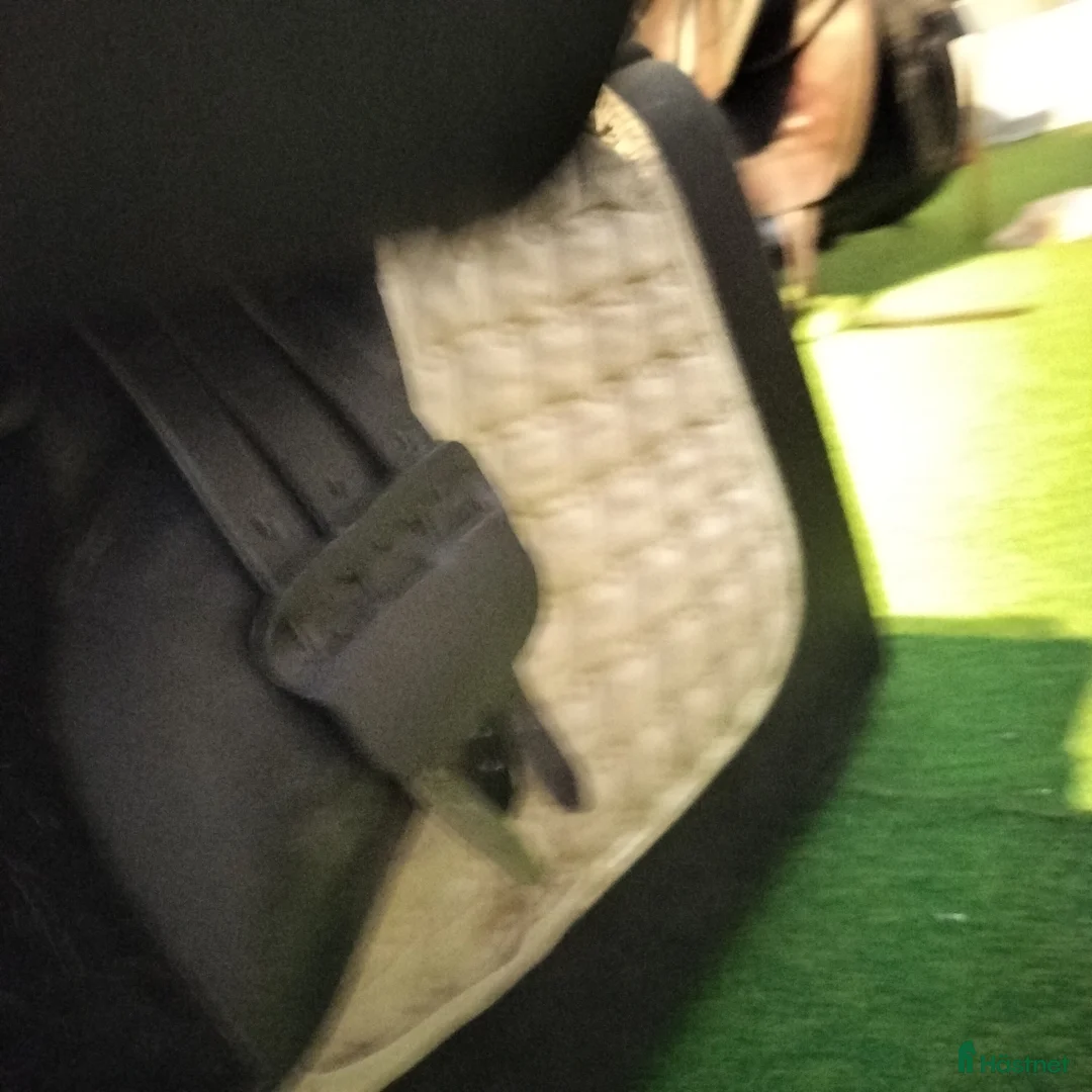 Sadlar hästutrustning till salu: Claridge allroundsadel xxwide i Länghem - Annons 5