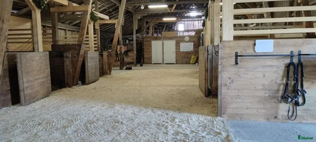  stallplats finnes: 2st Boxplatser lediga Kollektivt eller Fullservice i Fjärdhundra - Annons 2