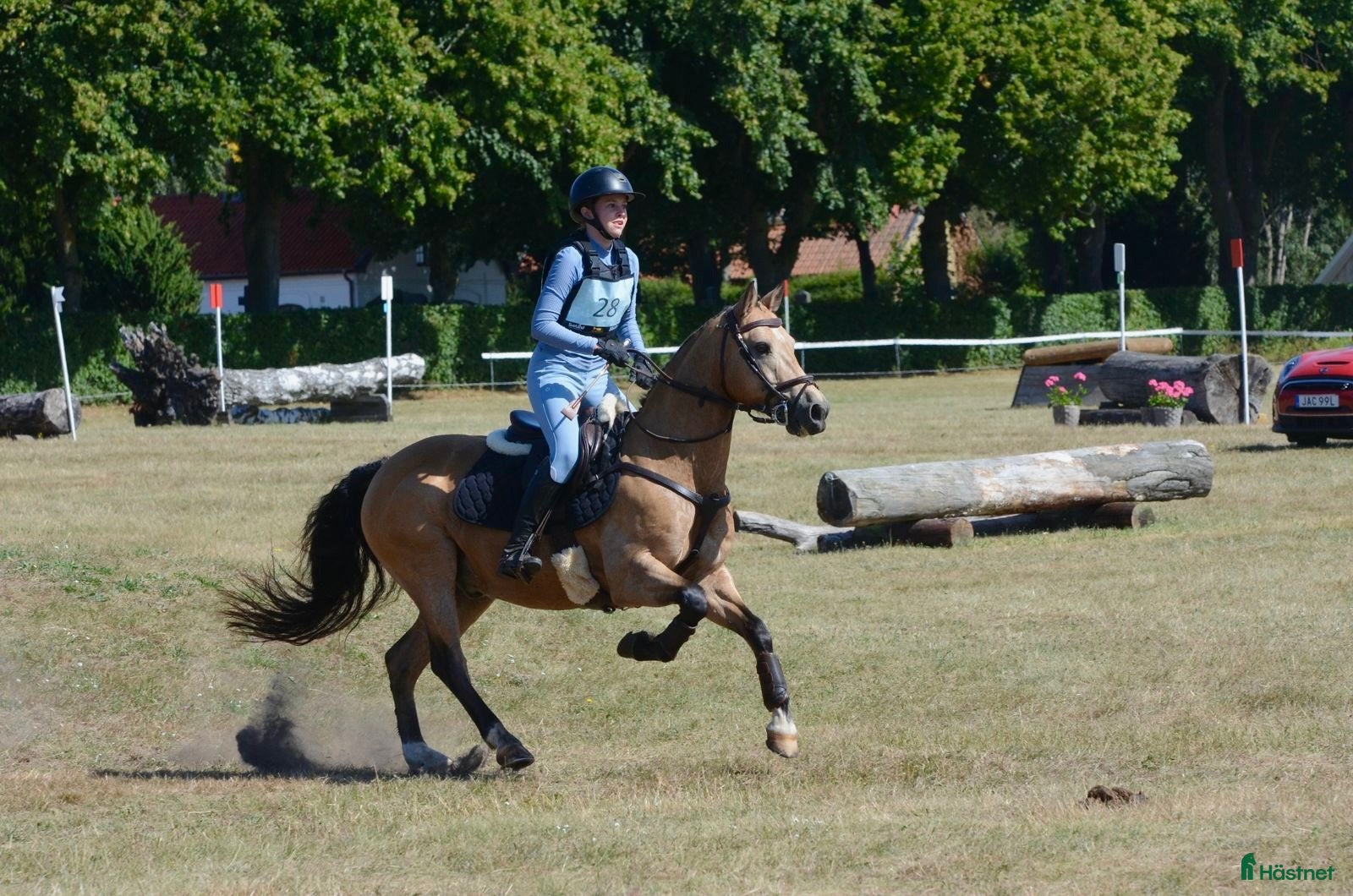  hästar Underbaraste c-ponnyn - Annons 1