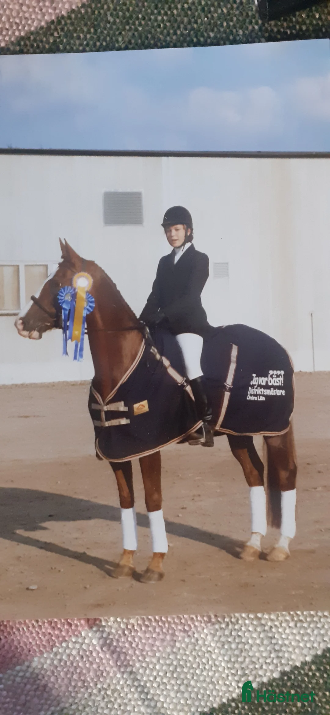  hästservice finnes: Utbilning/Försäljning med gedigen grundutbildning - Annons 6