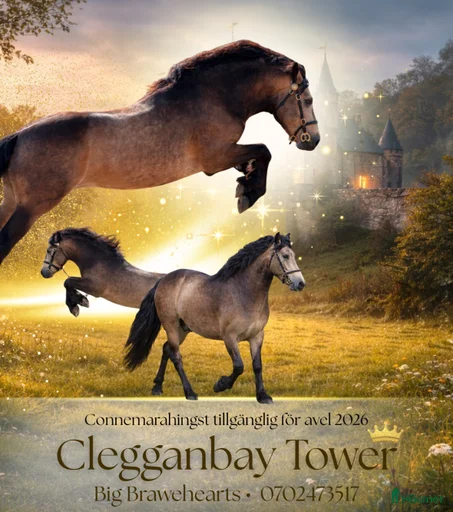 Galleribild {{count}}