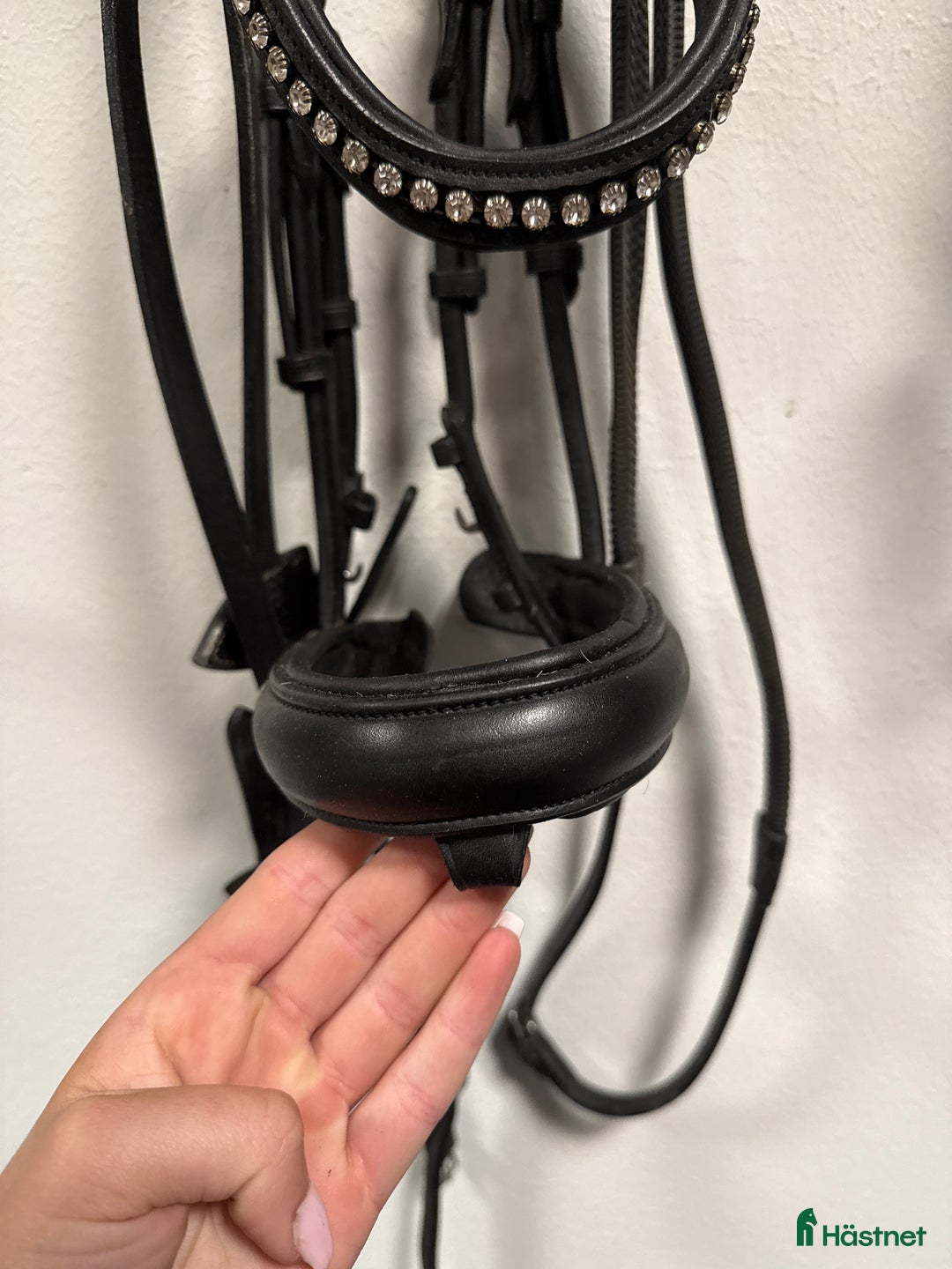 Träns hästutrustning till salu: Fint Lippo träns  i Varberg - Annons 2