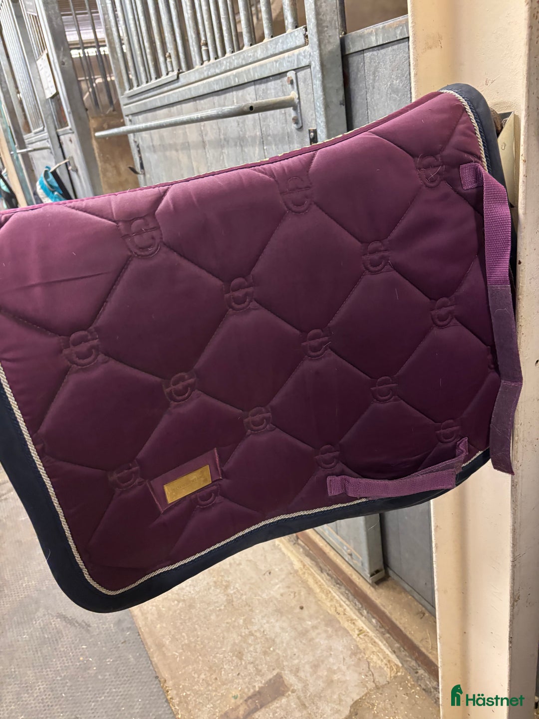 Schabrak & Vojlockar hästutrustning till salu: Lila es  i Östersund - Annons 2