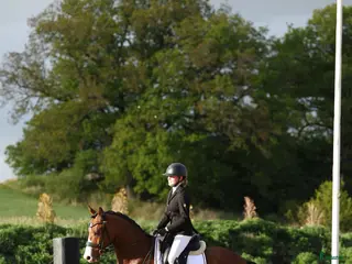 hästar FEI ponny till salu 🌟 - Annons 1